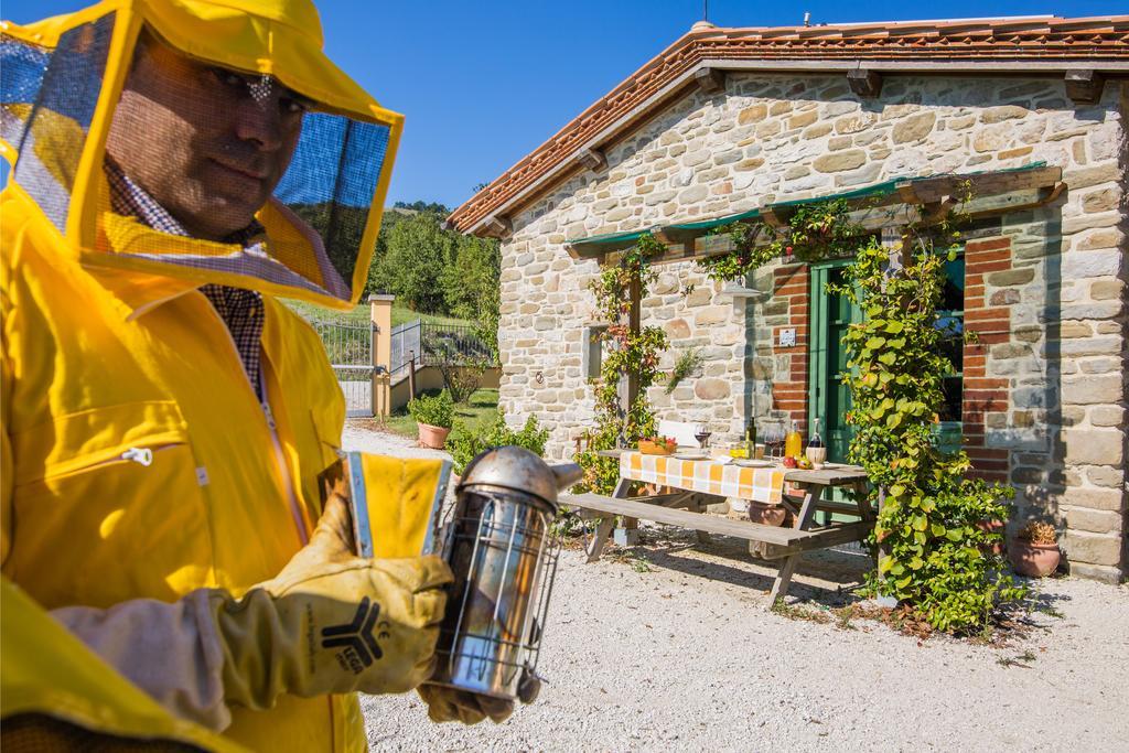 Agriturismo La Coccinella Valfabbrica Eksteriør bilde