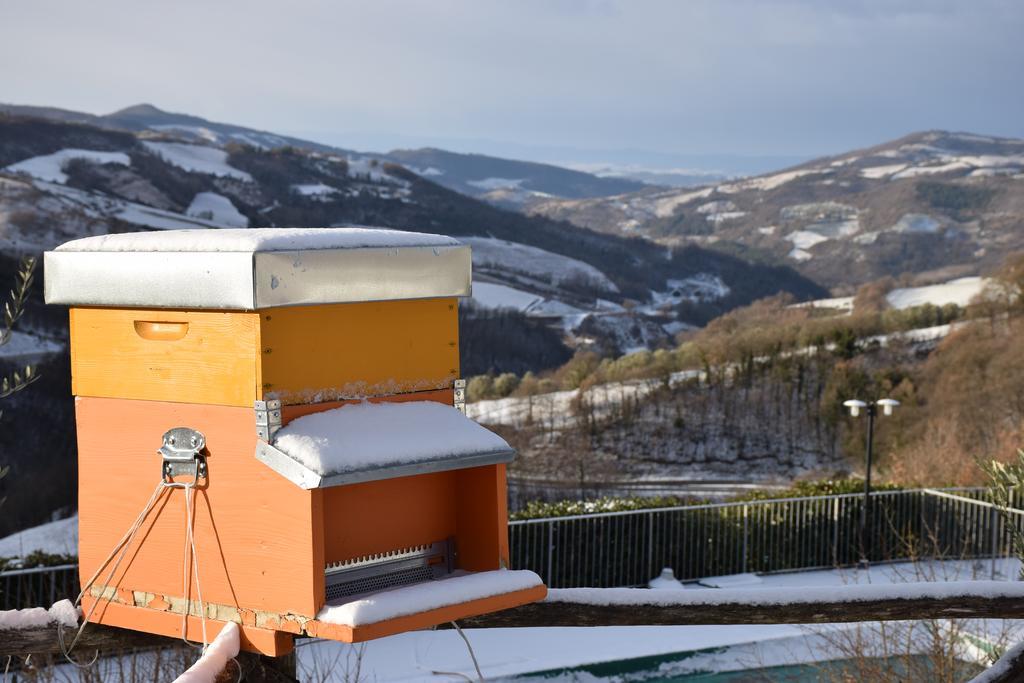 Agriturismo La Coccinella Valfabbrica Eksteriør bilde